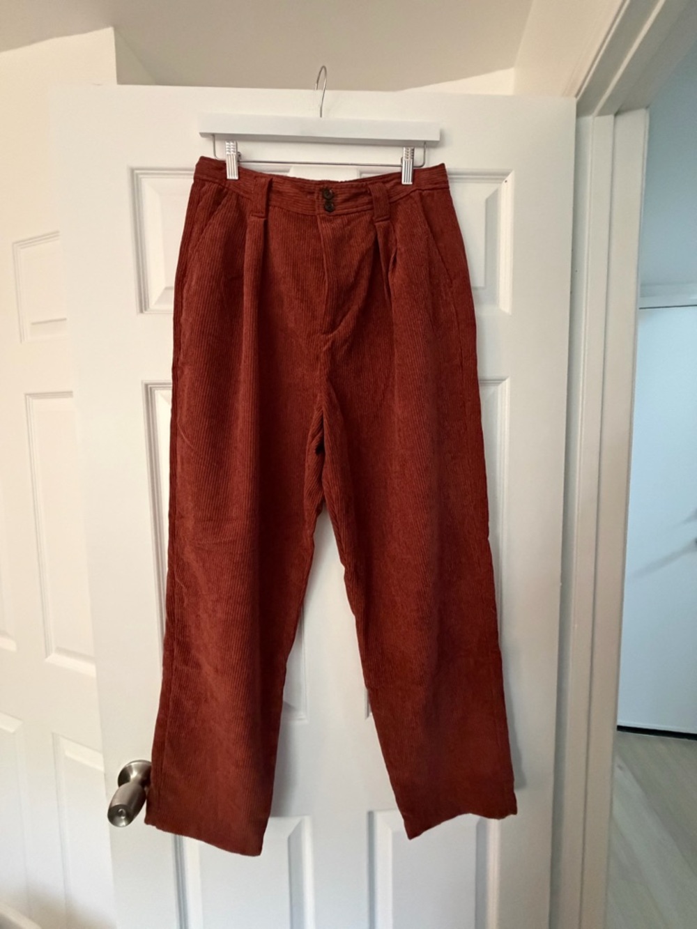 Madewell Women's Corduroy Pleated Trousers in Rust Brown